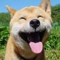 licken