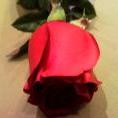 roseway_21
