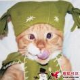 上帝祝福中國
