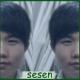sesen