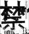 翟羽佳