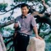 枼平