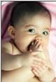 halan_wu