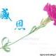 yingyong12