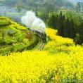 wangyu3788