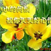 徐濤