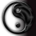 星空飄羽
