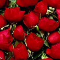 rrt8ckkfu