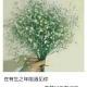 wuhui206
