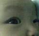 落葉