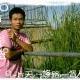 tokiepal