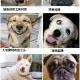 chenhouzhen11