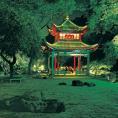 zhiduinishuo