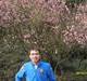 springjqs