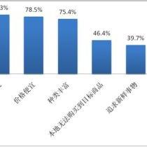 行业报告