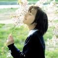 書香滿屋