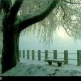 taiguwenxue