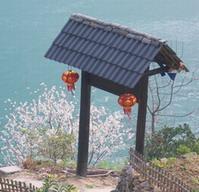 陽臺上人