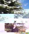 李丙花