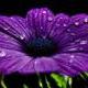 liwen914liwen