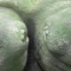 txqq_3399afe3f7f759730e3bcb