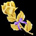 yjyysbfl