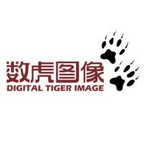 cgtiger