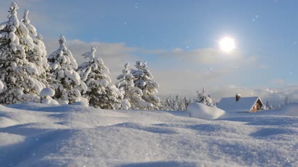 小屋柏树都挂满雪花素材