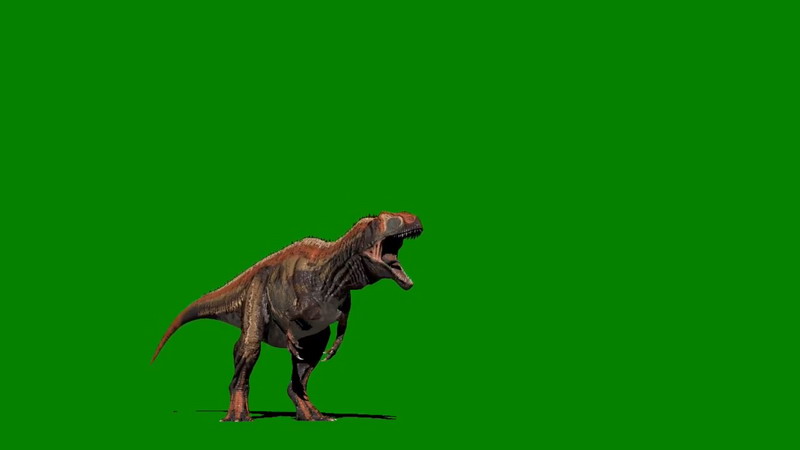 绿屏抠像发怒嚎叫的恐龙