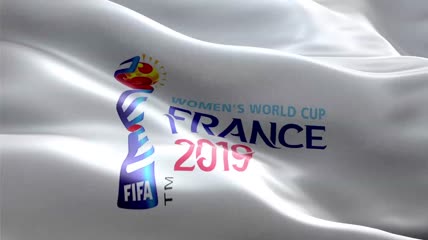 2019法国女足世界杯徽标旗帜动画