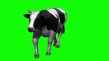 奶牛抠像素材