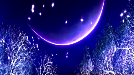 月夜粒子动态背景