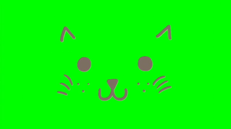 绿屏抠像可爱猫咪表情