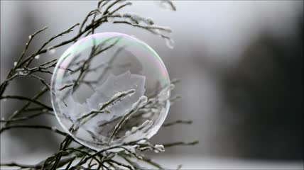 冰冻的泡泡
