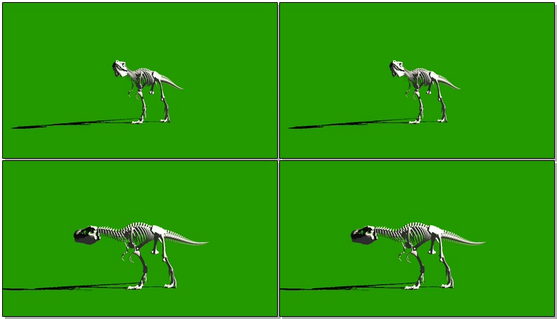 绿屏抠像行走的恐龙骨骼