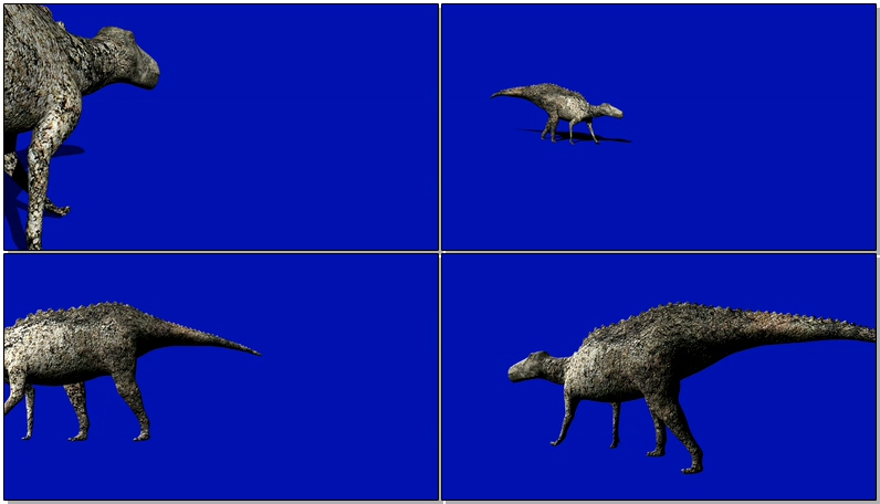 蓝屏抠像侏罗纪冠龙恐龙