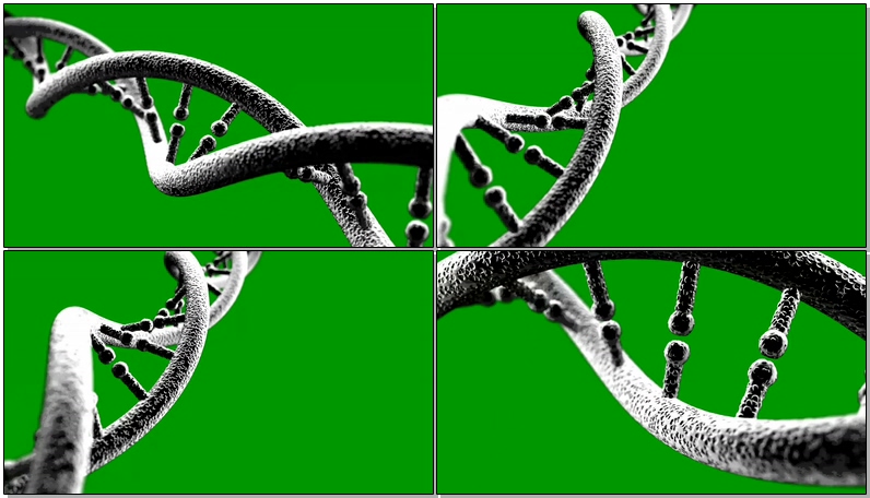 绿屏抠像细胞基因链条