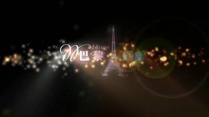 梦幻巴黎婚纱logo展示动画