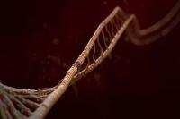 DNA链条基因双螺旋体3d三维动画