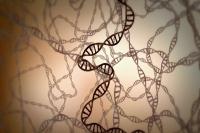 生命细胞内DNA基因双螺旋体链条3d三维动画