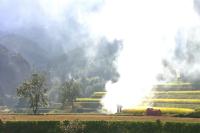 农村焚烧秸秆破坏环境污染空气