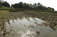 水稻梯田水利土地灌溉系统