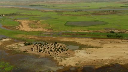航拍埃及异域风情沙漠古村落建筑视频素材