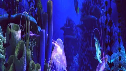 深海水水母群婚礼素材
