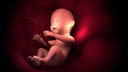 胎儿在妈妈子宫的视频素材