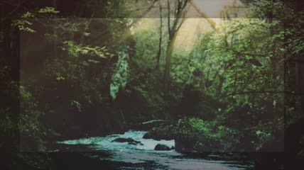 大自然林间溪流