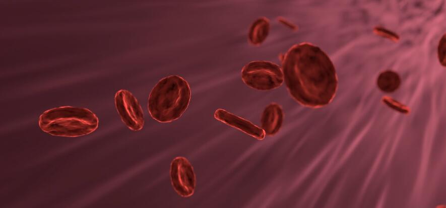 血-医疗-血液细胞-健康