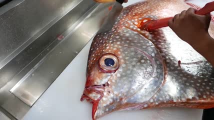 海鱼海鲜食材处理视频素材
