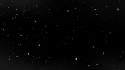 下雨 雨水 雨季 下雨天 中雨 视频特效 透明通道 alpha 免抠素材