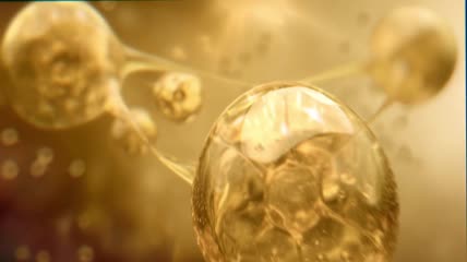 黄金细胞 滋润 能量